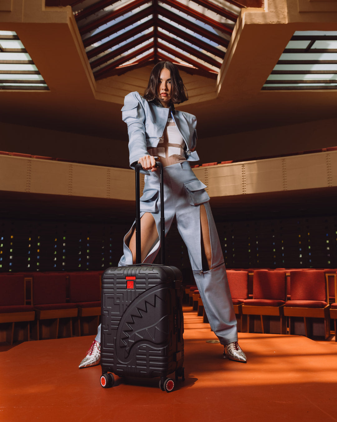 FRANK LLOYD WRIGHT COLLAB HARD SHELL LUGGAGE - Image 2