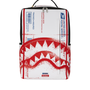USPS SHIPPING BOX BACKPACK