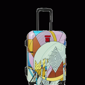FRANK LLOYD WRIGHT COLLAB FROZEN SPHERES LUGGAGE