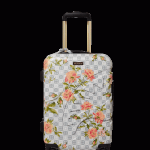 A.I. AFRICAN INTELLIGENCE ELEGANT ENERGY SHARKITECTURE CARRY-ON LUGGAGE - SANDFLOWER COLLAB